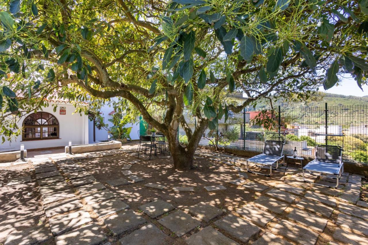 Tegueste Charming House Екстериор снимка